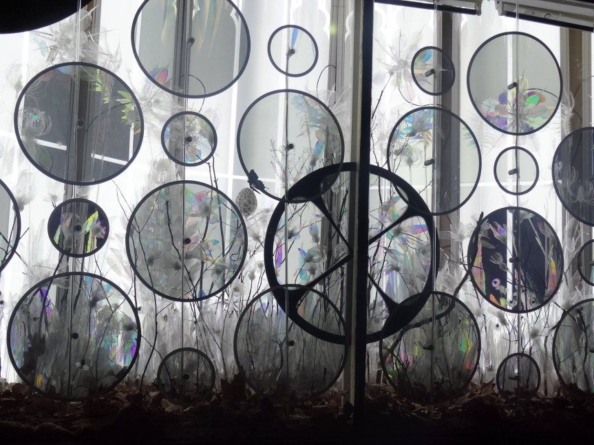 Ms Rods ‘n’ Cones&nbsp;(1)